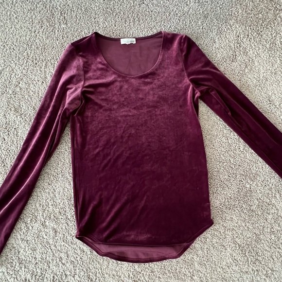 Aritzia Wilfred Free Long sleeve purple velour top. US S - Picture 2 of 5